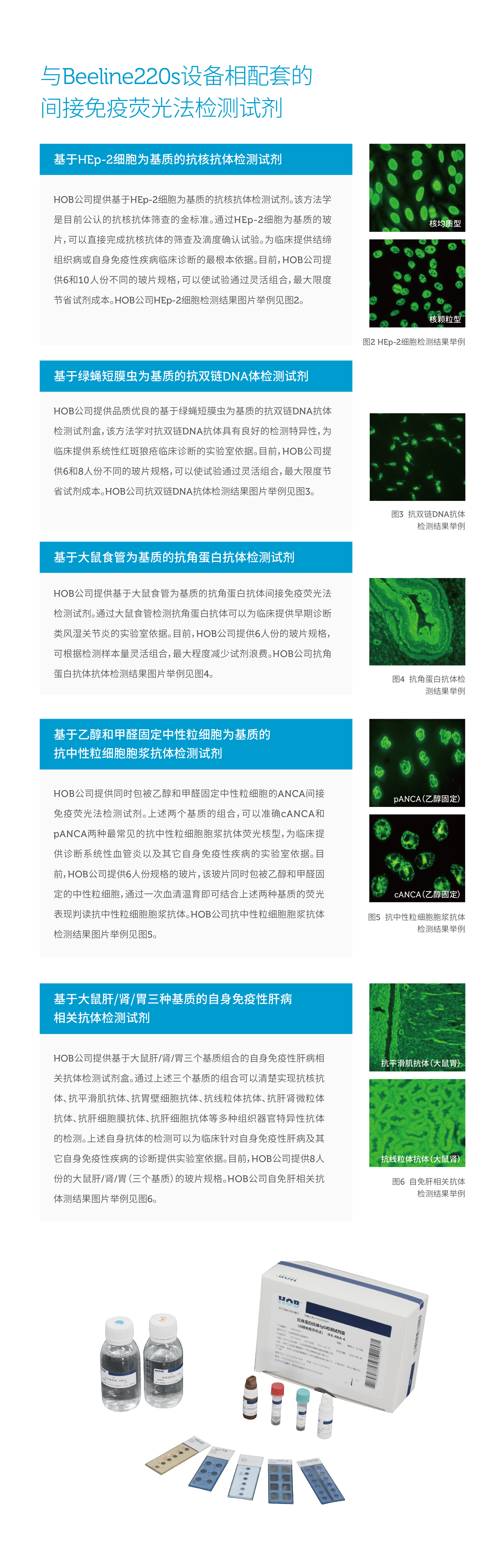 HOB-網站-12.jpg