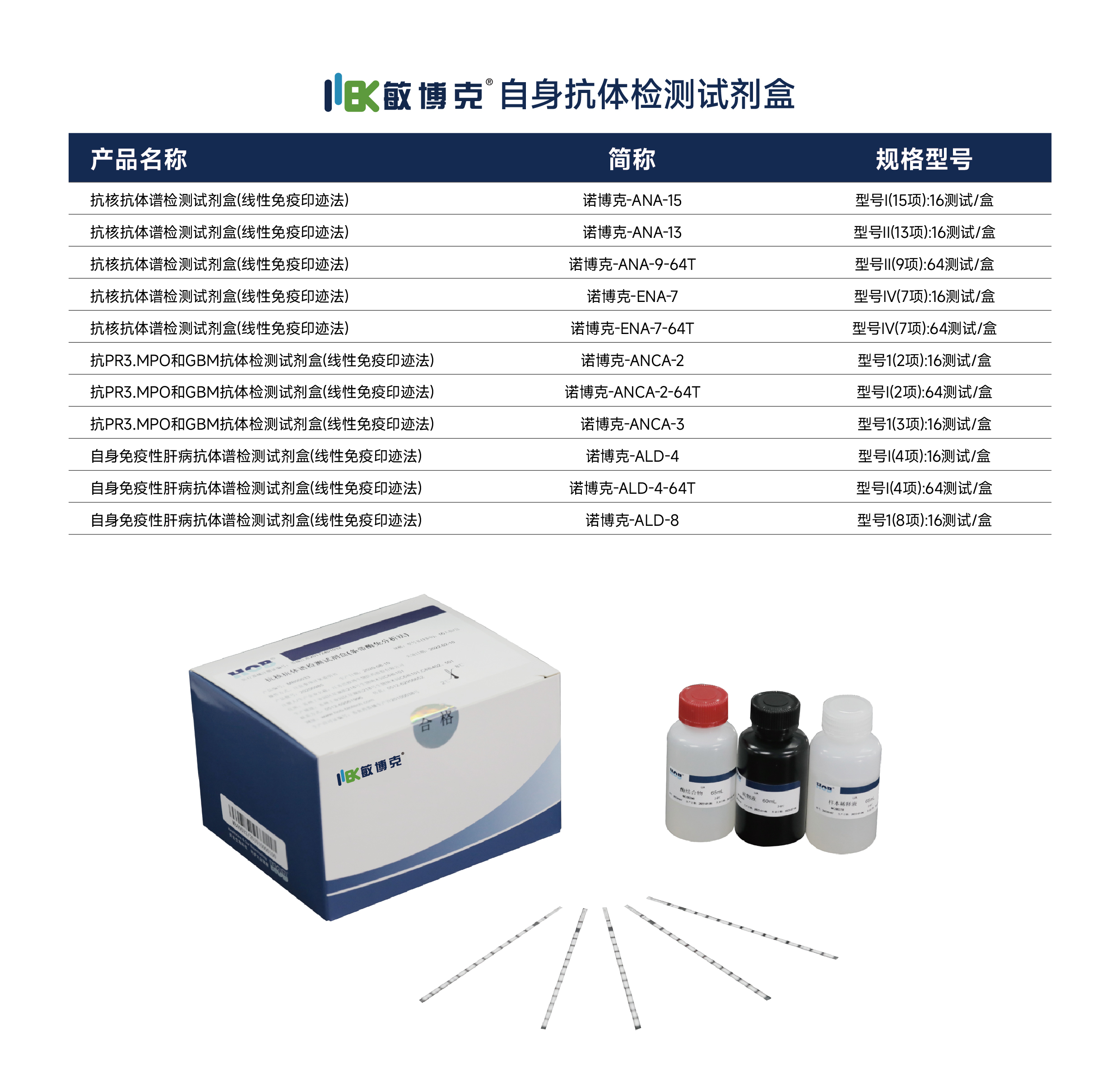 HOB-公眾號_敏博克自免.jpg